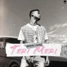 Teri Meri - Mickey Singh