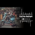 Kacha Badam (remix) Ringtone