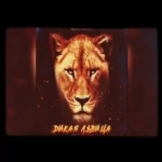 Tik Tok Tiger Ringtone