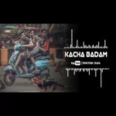 Kacha Badam (remix) Ringtone