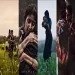 Nana Ni Nare Nare (kgf 2) Ringtone