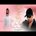 Bas Tum Mere Paas Raho - Salman Ali Ringtone