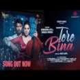 Tere Bina - Samar Monsoon Ringtone