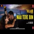 Naa Tere Bin - Altamash Faridi Ringtone