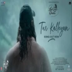Tur Kalleyan - Arijit Singh Shadab Faridi Altamash Faridi Ringtone