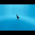 Ilzaam - Arjun Kanungo King Ringtone