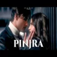 Pinjra - Asim Riaz Himanshi Khurana Ringtone