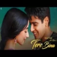 Tere Bina - Ustad Rahat Fateh Ali Khan Ringtone