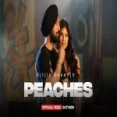 Peaches - Diljit Dosanjh Ringtone