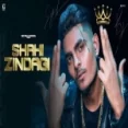 Shahi Zindagi - Sagar Pop Ringtone