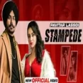 Stampede - Pavitar Lassoi Ringtone