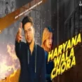 Haryane Wala Chhora - Sunny Rao Anjali Raj Ringtone