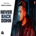 Never Back Down - Robyn Sandhu Ringtone