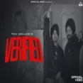 Verified - Teji Dhillon Ringtone