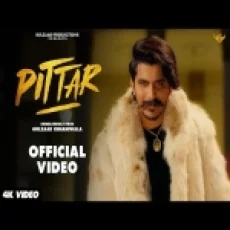 Pittar - Gulzaar Chhaniwala Ringtone