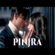 Pinjra - Asim Riaz Himanshi Khurana Ringtone
