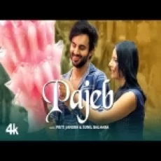 Pajeb - Sunil Balhara Preeti Jangra Ringtone