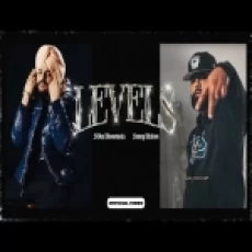 Levels - Sidhu Moose Wala Ringtone