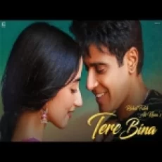 Tere Bina - Ustad Rahat Fateh Ali Khan Ringtone