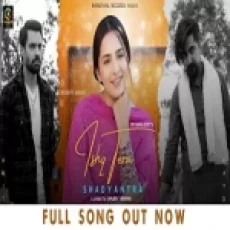 Ishq Tera Shadyantra - Dc Madana Ringtone