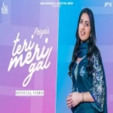 Teri Meri Gal - Priya Ringtone