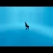 Ilzaam - Arjun Kanungo King Ringtone