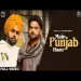 Main Punjab Haan - Ammy Gill Kulbir Jhinjer Ringtone