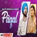 Pagal - Naiqra Ringtone