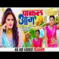 Pakal Aam - Satyaveer Singh Antra Singh Priyanka