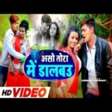 Aso Tora Me Dalbau - Bansidhar Chaudhary