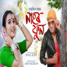 Nahor Phool