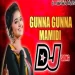 Gunna Gunna Mamidi DJ Remix - Old Folk