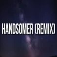 Handsomer Remix