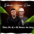Waka Waka Amapiano (remix)
