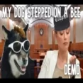 My Dog Stepped On A Bee (tiktok)