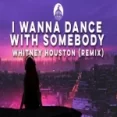 I Wanna Dance With Somebody (remix) Tiktok