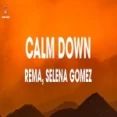Baby Calm Down - Selena Gomez Rema