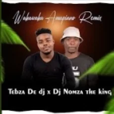 Waka Waka Amapiano (remix)