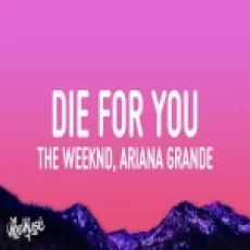 Die For You (remix)