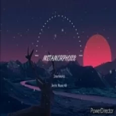 Metamorphosis