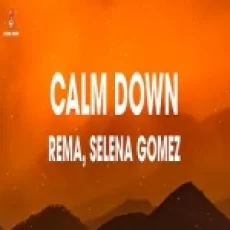 Baby Calm Down - Selena Gomez Rema