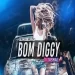 Bom Diggy Diggy Bom Bom (dj Remix)