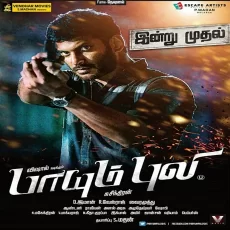 Silukku Marame Karaoke Track - Paayum Puli