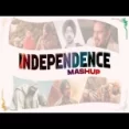 Independence Day Special (mashup)