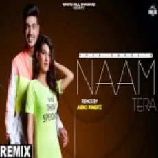 Naam Tera (remix) Punditz - Ndee Kundu