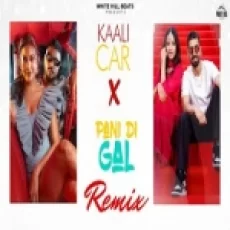 Kaali Car X Pani Di Gal (remix)